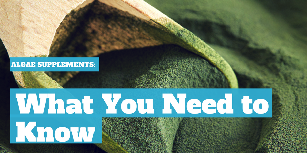 Algae Supplements: What You Need to Know