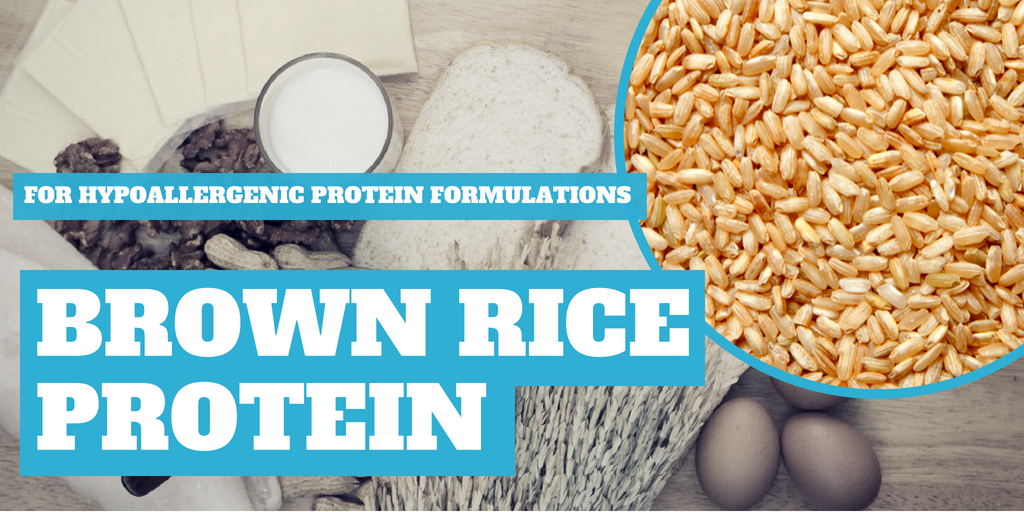 Brown Rice Protein: A Hypoallergenic Formulation Option