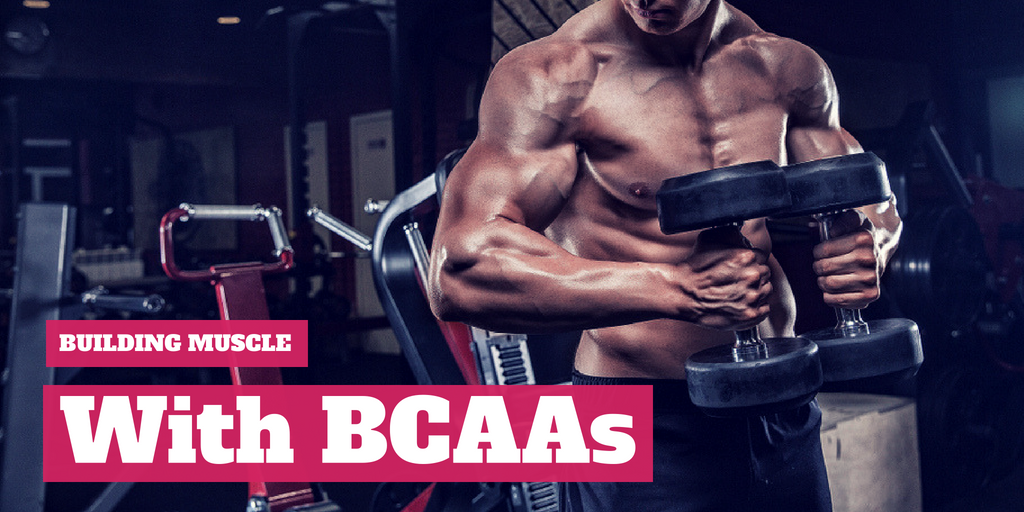 Building Muscle with BCAAs