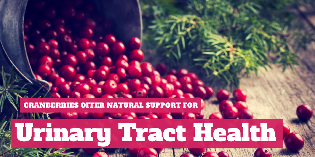 Cranberries Offer Natural Support for Urinary Tract Health