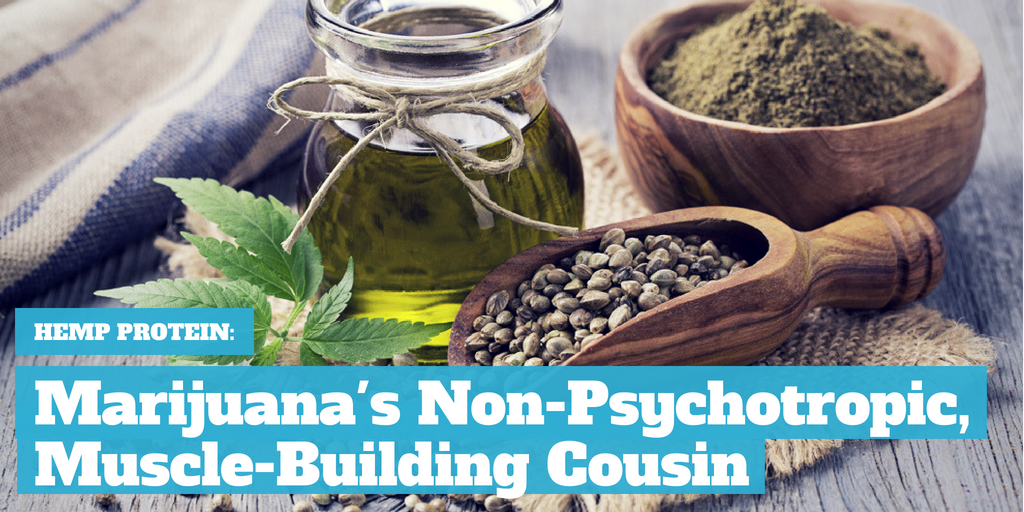 Hemp Protein: Marijuana's Non-Psychotropic, Muscle-Building Cousin