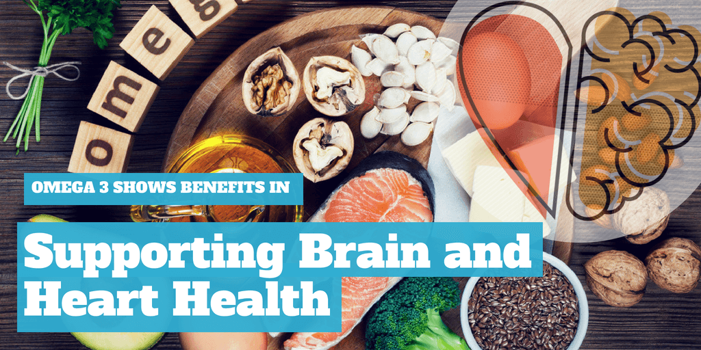 Omega 3 Shows Benefits In Supporting Brain and Heart Health