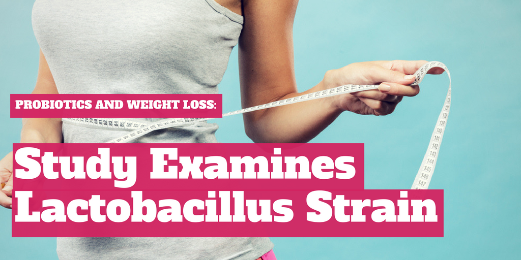 Probiotics & Weight Loss: Study Examines Fragmented Lactobacillus Strain