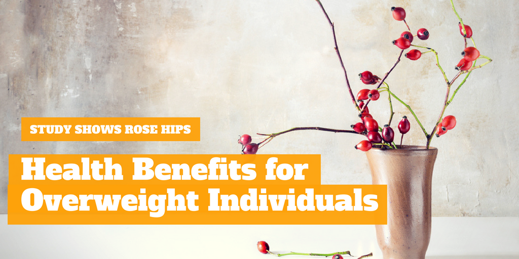 Study Shows Rose Hips Health Benefits for Overweight Individuals