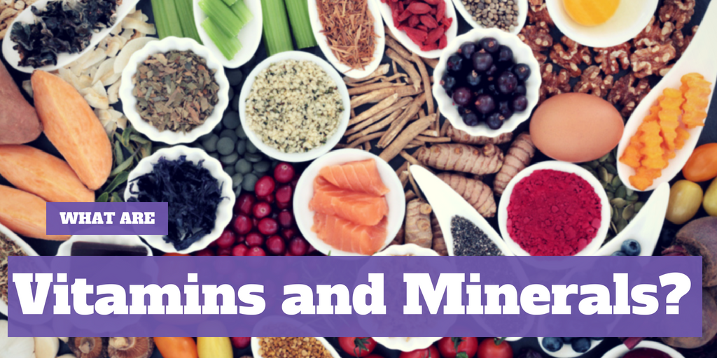 What are Vitamins and Minerals?