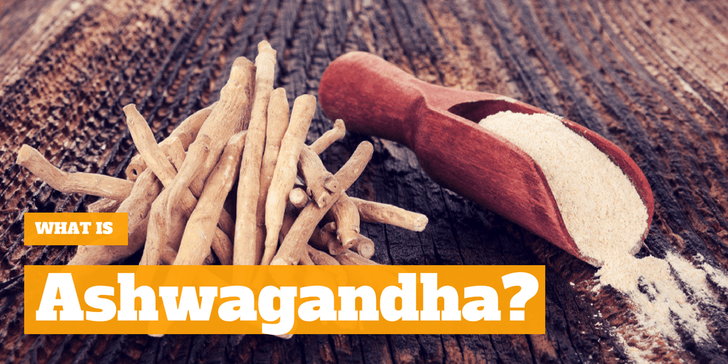 What is Ashwagandha?