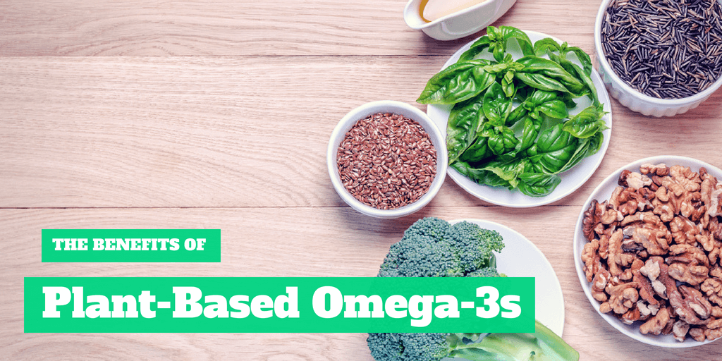 Why Should You Start Consuming Plant Based Omega 3s?
