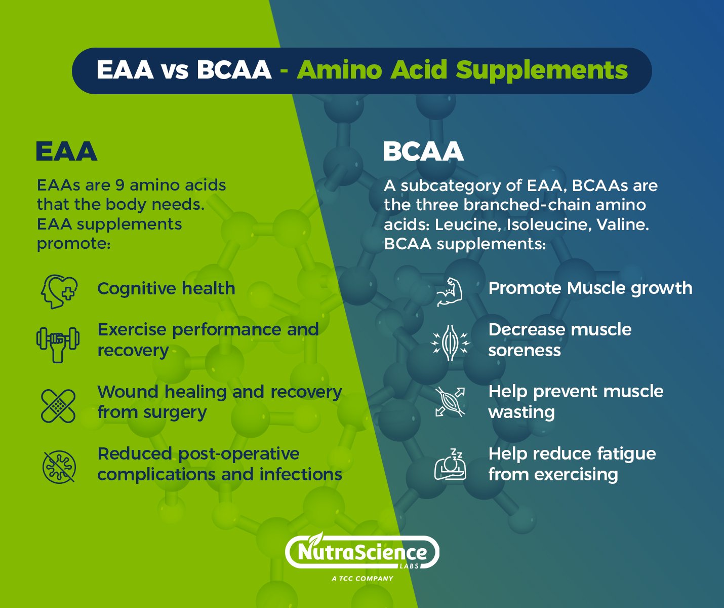 EAA vs BCAA - Amino Acid Supplements - Infographic 