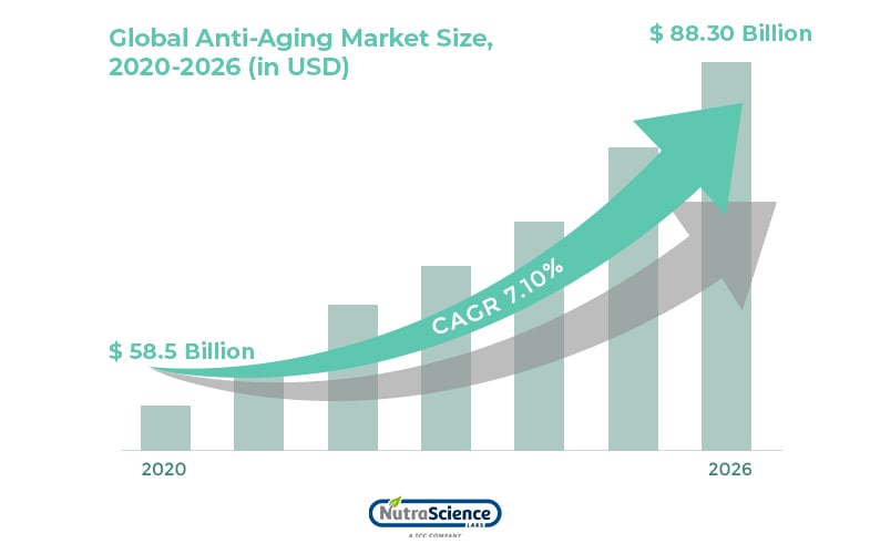 Anti Aging Supplements Market Size