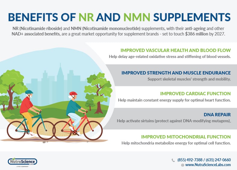 Benefits of NR and NMN Supplements Infographic