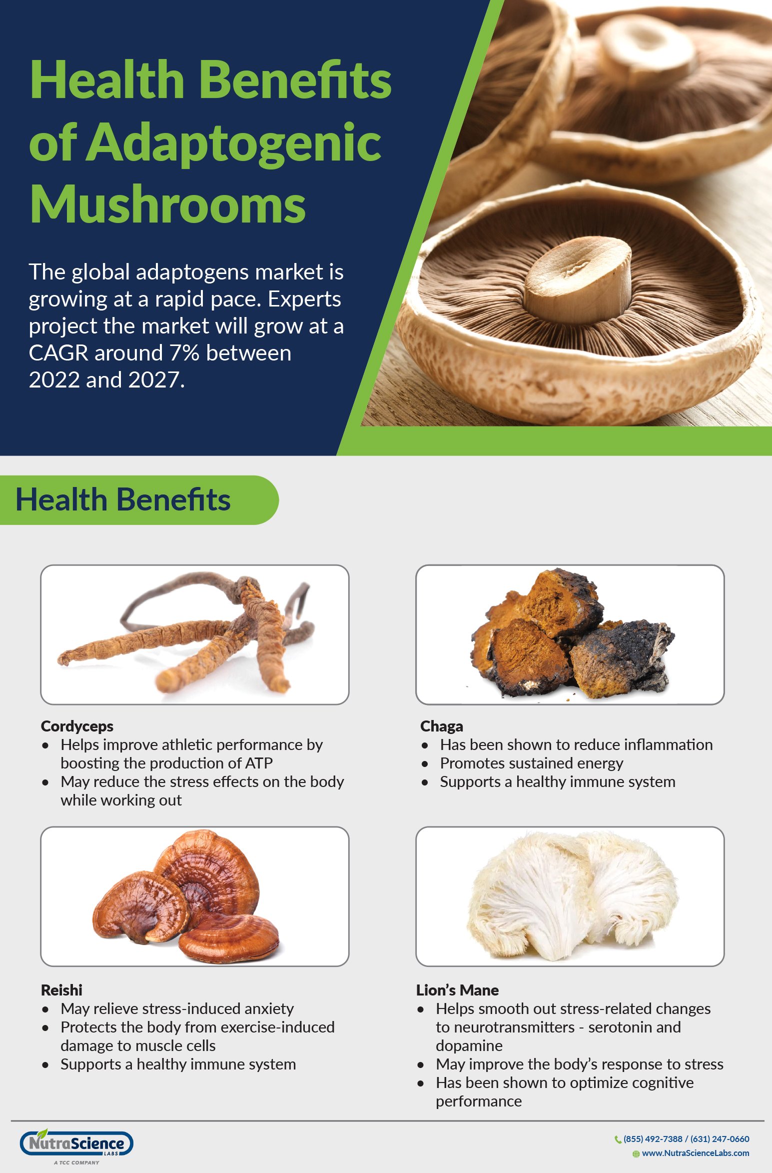 Health Benefits of Adaptogenic Mushrooms