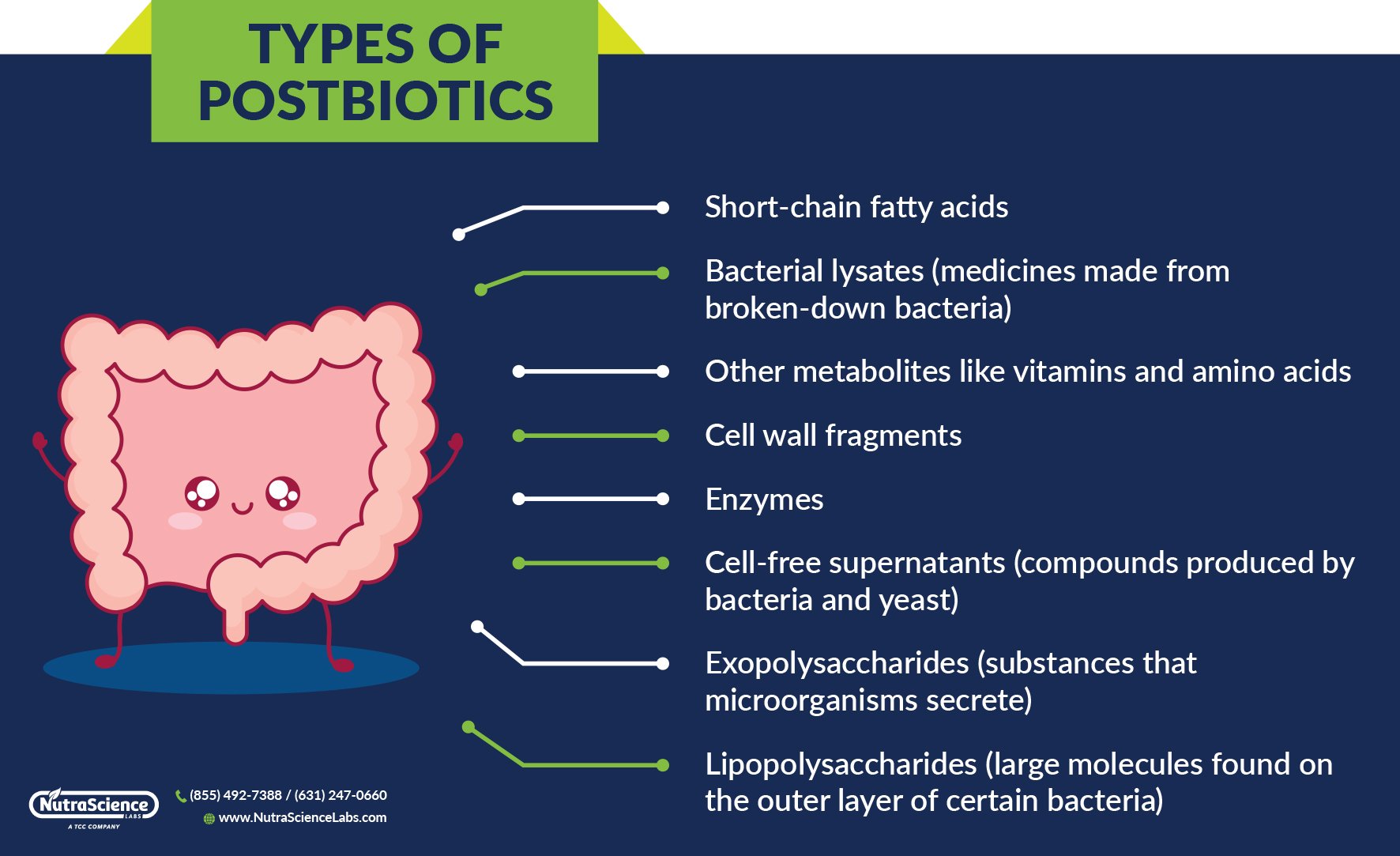 Types of Postbiotics