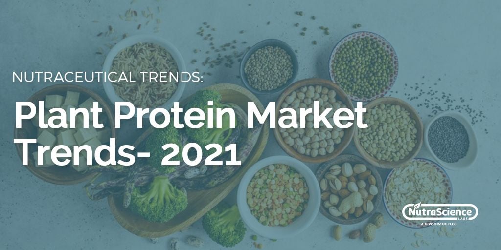 Plant Protein Market Trends-1
