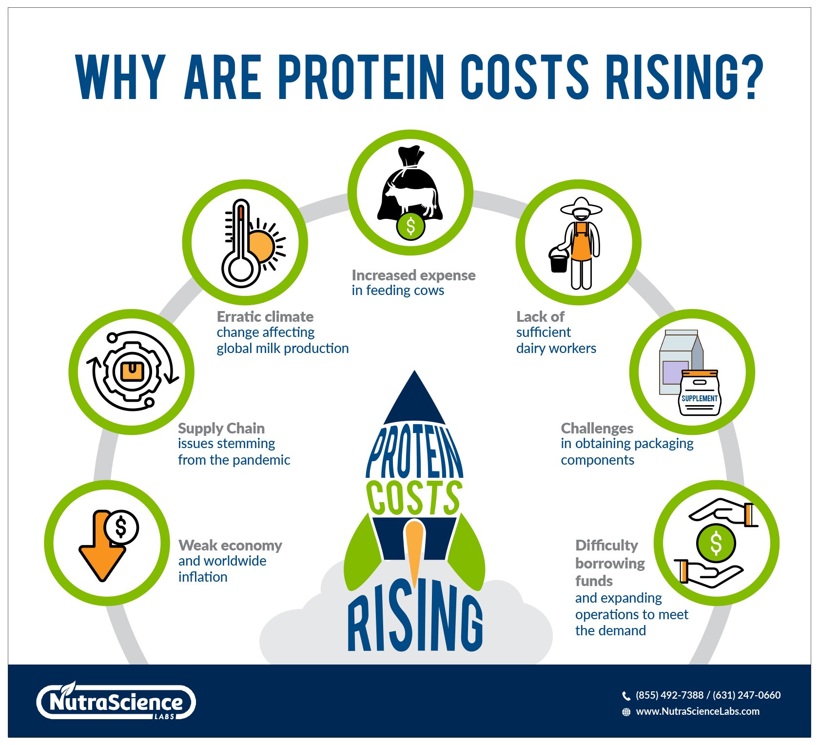 why are protein costs rising - Infographic