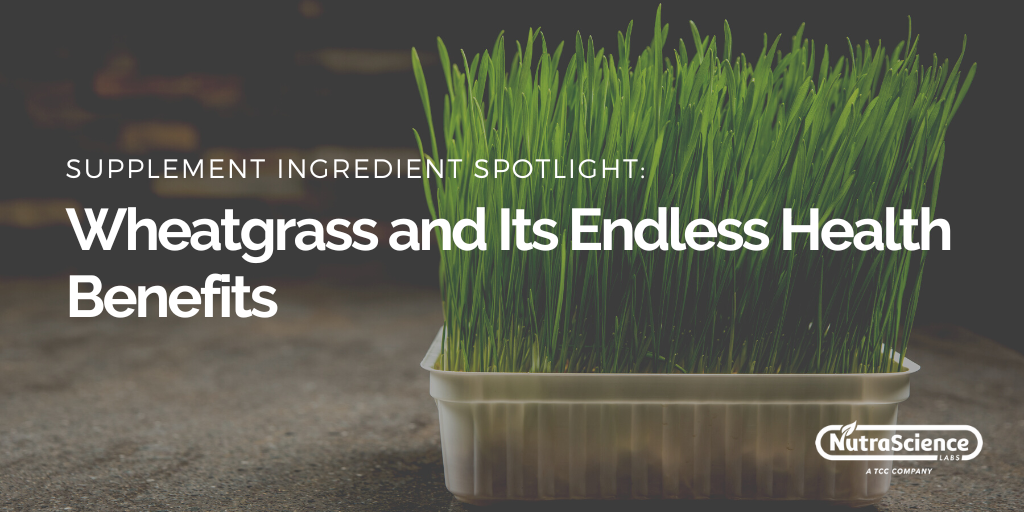 Wheatgrass and Its Endless Health Benefits