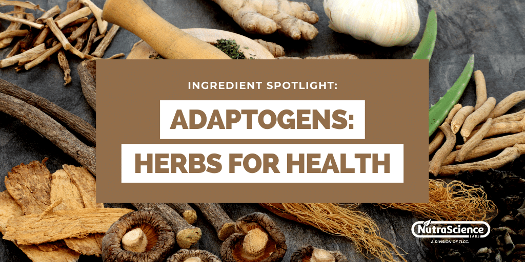 Adaptogens - Herbs For Health
