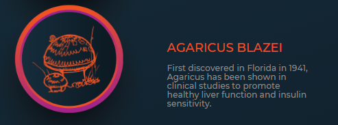 Agaricus Blazei Health Benefits