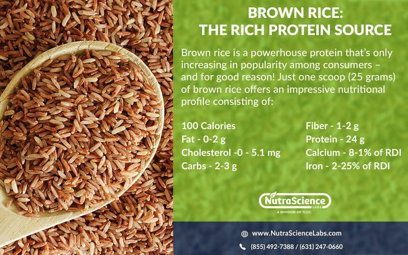 Brown Rice Protein Nutritional Profile Infographic