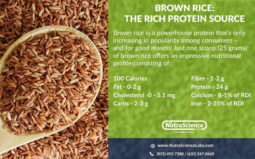 brown-rice-protein-nutritional-profile-infographic