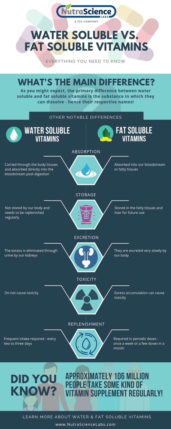 What's the Difference Between Water-Soluble & Fat-Soluble Vitamins - Infographic