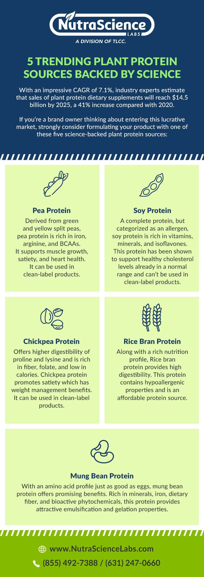 Healthiest Plant-based Protein Sources Infographic
