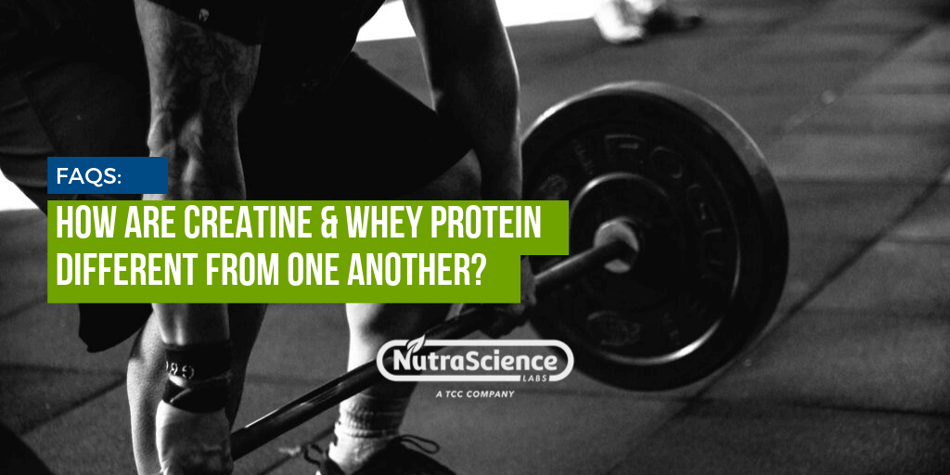 How Are Creatine and Whey Protein Different from One Another?