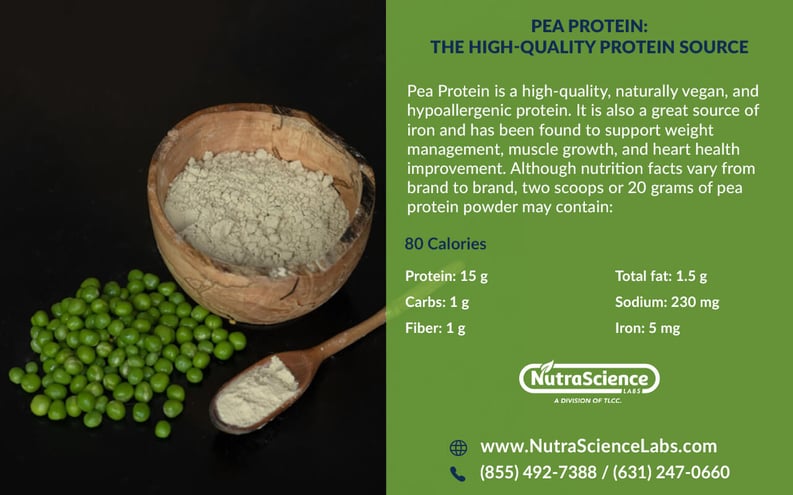 pea-protein-infographic