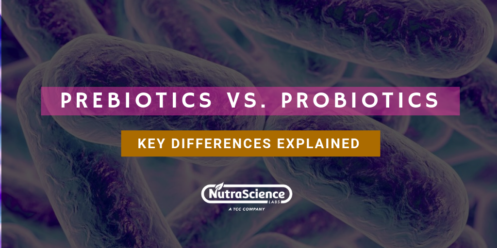 prebiotics-vs-probiotics-key-differences-explained