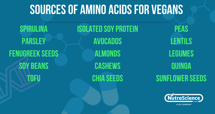 Sources of Amino Acids for Vegans