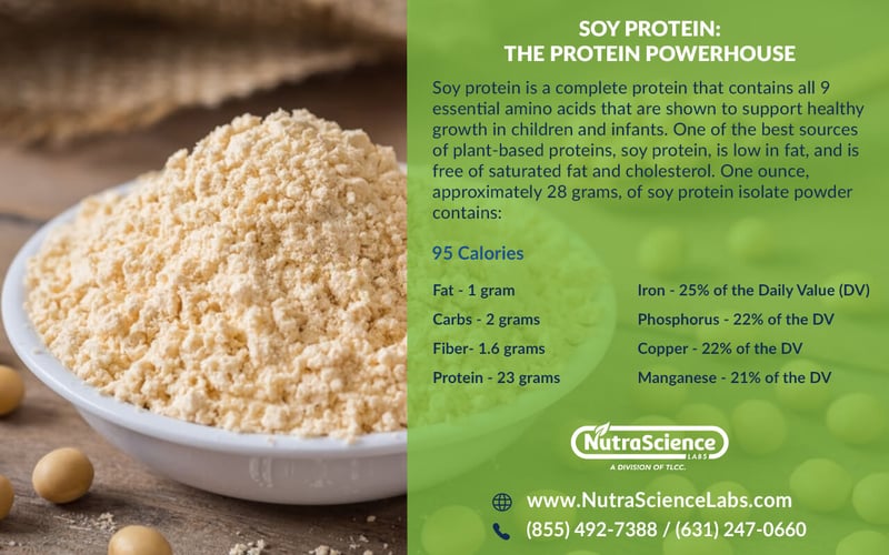 Soy Protein Nutritional Facts Infographic