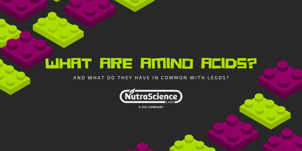 What Are Amino Acids