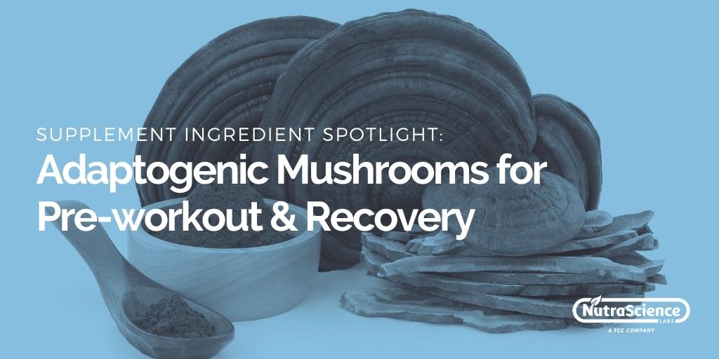 Adaptogenic Mushrooms for Prework & Recovery